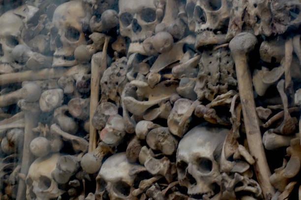 istock pile of skulls 1177077093