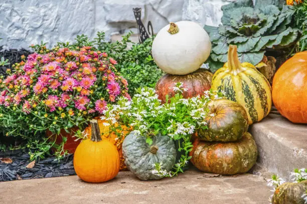 Photo of Autumn outdoor pumpkin and flower arrangement on steps - selective focus