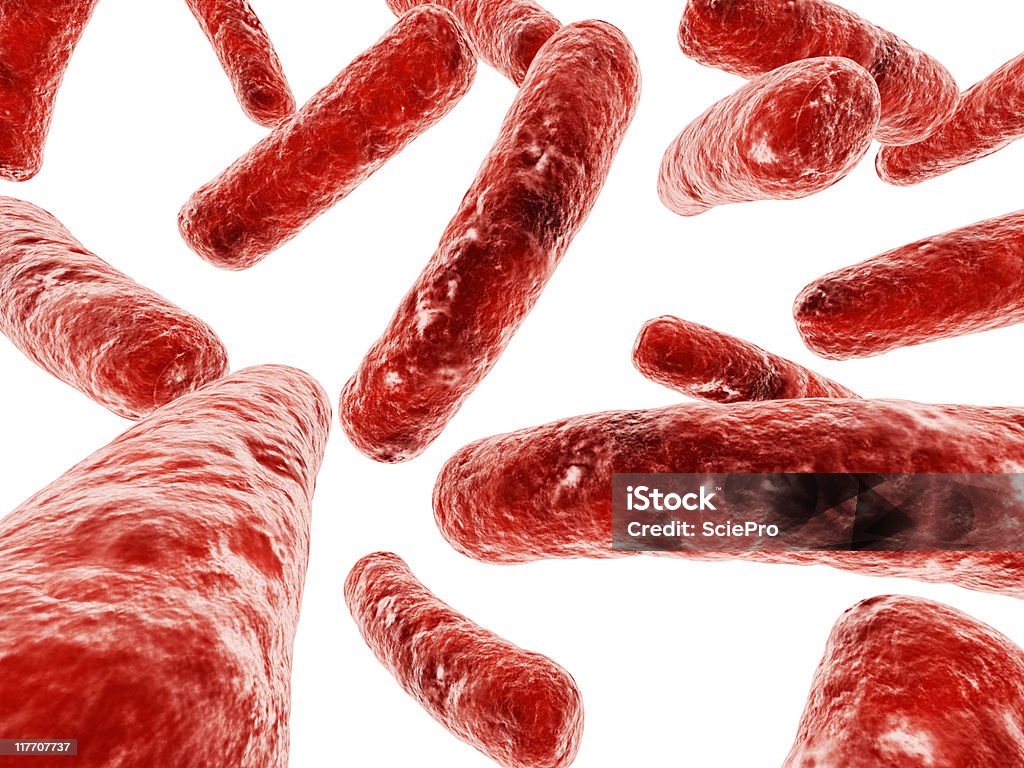 박테리아 일러스트 - 로열티 프리 0명 스톡 사진
