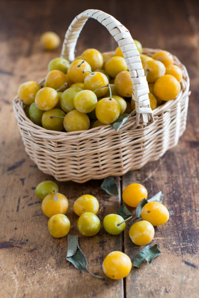 close-up of fresh harvested mirabelles in basket