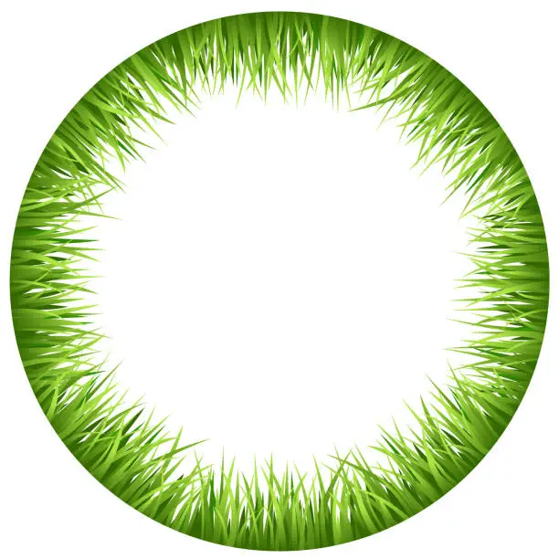 Vector illustration of Oval Frame Grass