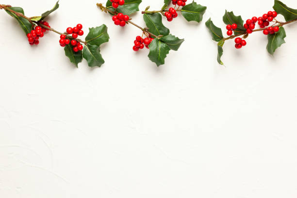 istock Christmas background with branches of holly with red berries on white. 1177082149