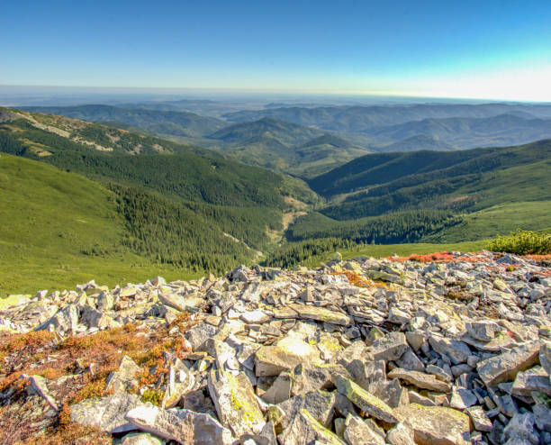 istock Panorama of rocky mountains in summer 1177085715