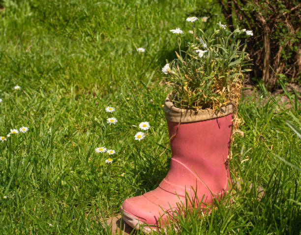 istock Old red rubber gumboot filled with spring flowers 1177086972