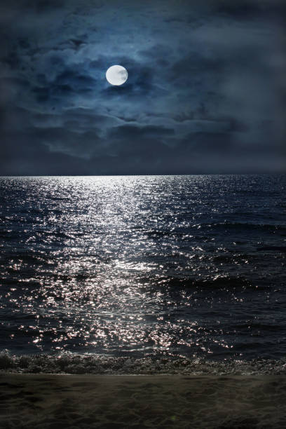 istock Moonlit night by the sea. 1177087115