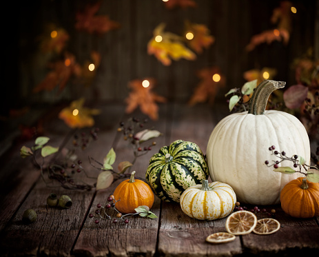 Autumn pumpkins and decor arranged against an old wood background. Very shallow depth of field for effect with plenty of copy