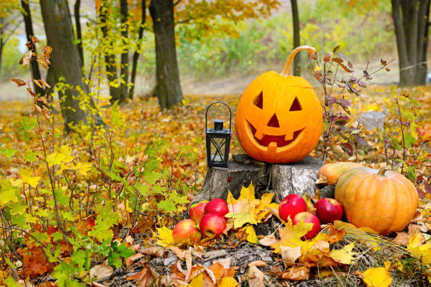 istock Pumpkin-head against a background of an autumn forest. 1177095593