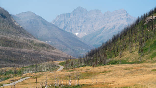 istock Waterton Lakes National Park, Alberta, Canada 1177096497