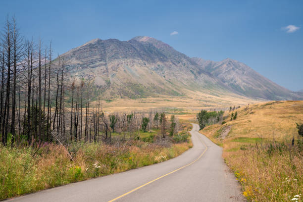 istock Waterton Lakes National Park, Alberta, Canada 1177096551