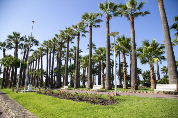 istock Cannes France 1177099006