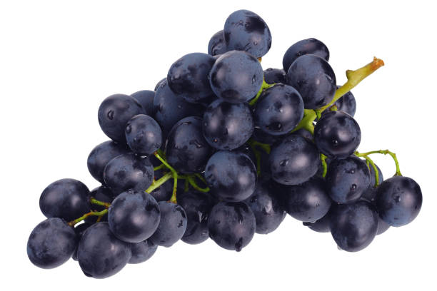 istock blue grape isolated on a white. Food 1177099123