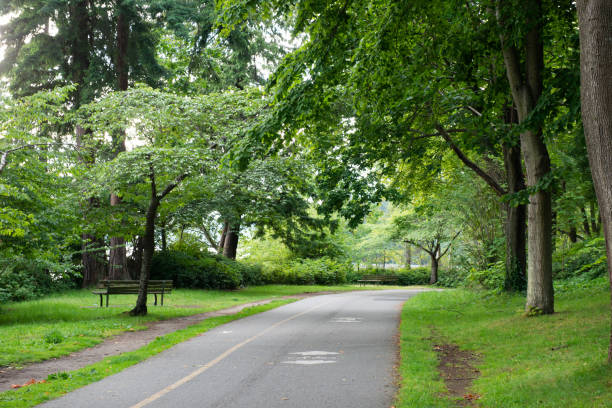 This is a color photograph of a paved bicycle trail through the lush green tree lined Stanley Park in Vancouver, Canada on a summer day.
