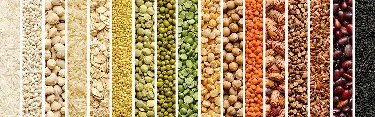 Collage of cereals and legumes: rice,peas, lentils, beans haricot millet buckwheat chickpea. Top view. Website header banner