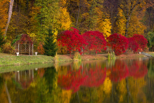 istock Autumn in the park 1177105445