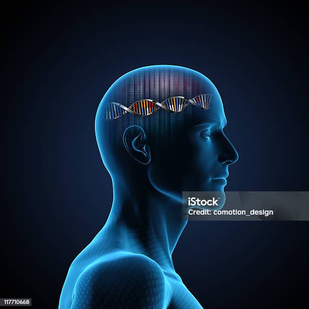 脳の Dna - 3Dのストックフォトや画像を多数ご用意 - 3D, DNA, 人体