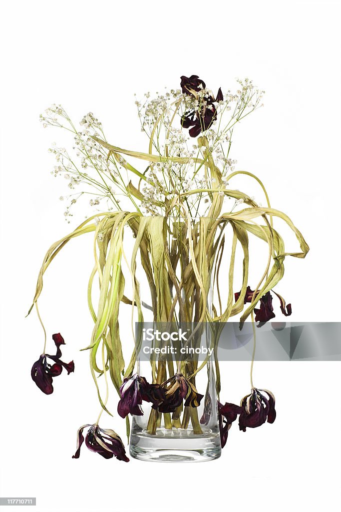 Murcha Flor - Royalty-free Flor Foto de stock
