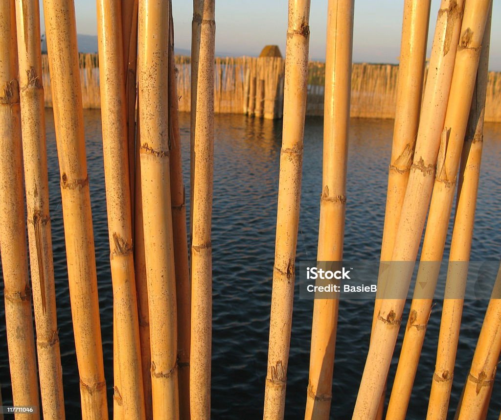 Bambus-sticks - Lizenzfrei Abenddämmerung Stock-Foto