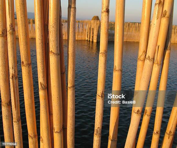 Bambussticks Stockfoto und mehr Bilder von Abenddämmerung - Abenddämmerung, Bambus - Material, Bildhintergrund