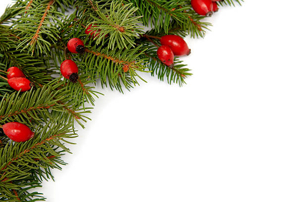 istock Red-green christmas arragement 117711193