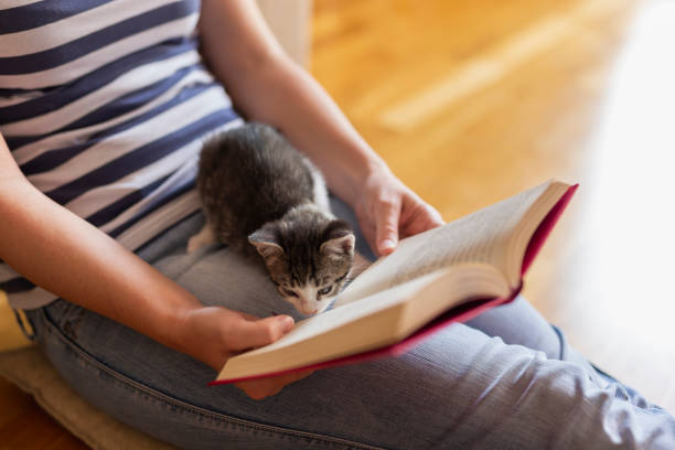 istock Woman cuddling kitten and reading a book 1177114271