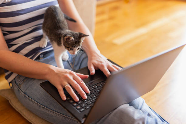 istock Woman working remotely from home 1177114326