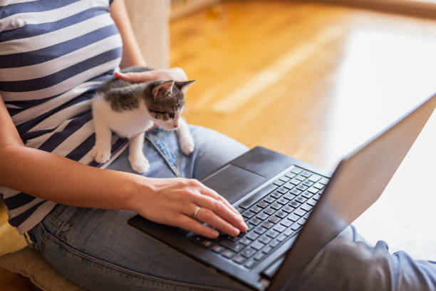 istock Female freelancer working from home 1177114354