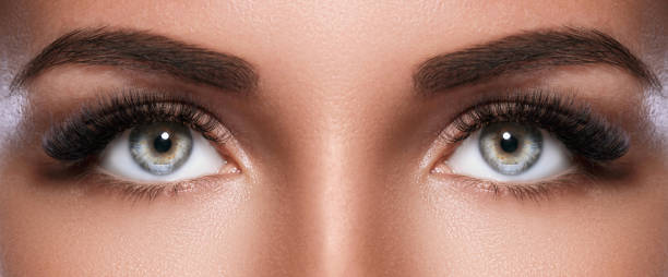 istock Female face with beautiful eyebrows and artificial eyelashes 1177115202