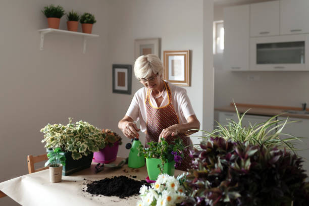 istock Gardening is the best therapy 1177116231