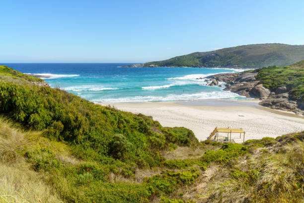 istock Deserted beach on Western Australia coastline 1177118461