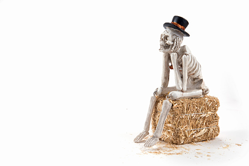 Halloween skeleton sitting and waiting for Halloween