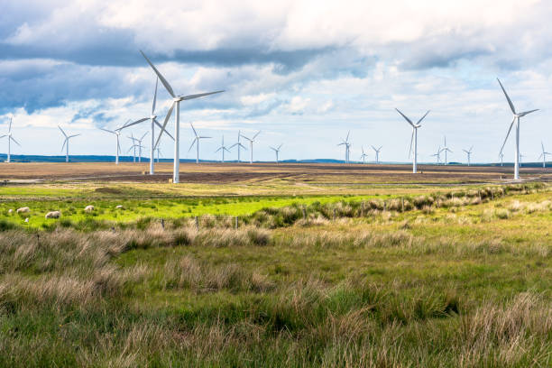 Wind turbines in the countryside a cloudy sky