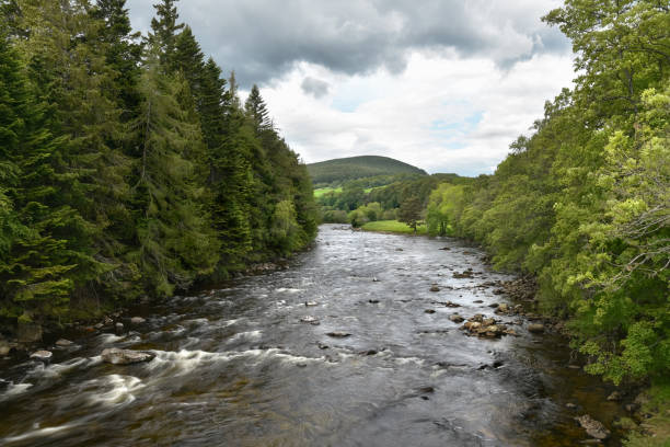 istock Mountiain river flowing through a wooded vally and cloudy sky 1177119715