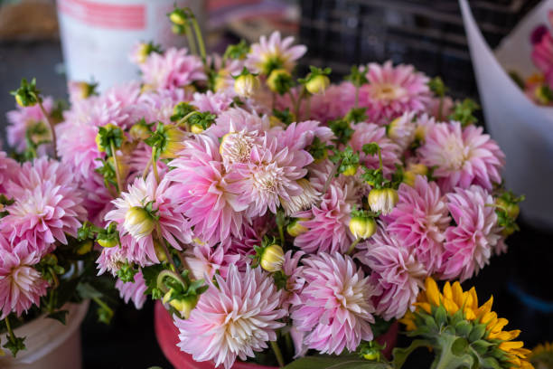 istock Colorful Flower Bouquets 1177122442