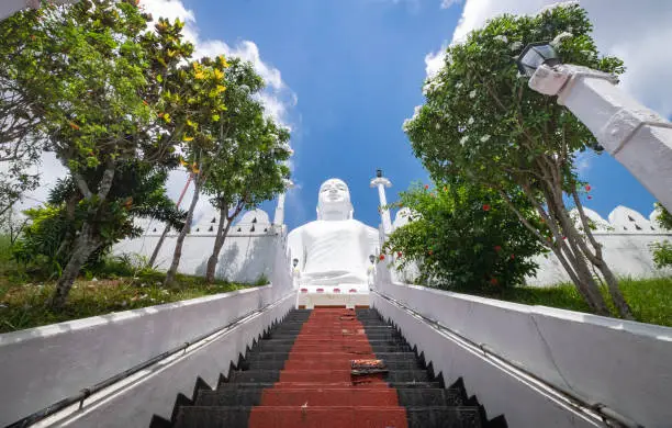 Photo of The big Buddha statue (Bahirawakanda Vihara Buddha) Statue on the top of the mountain