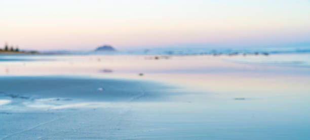 istock Defocused blurry background image ocean beach long view in soft tones 1177129918