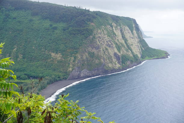 istock Waipi'o Valley Lookout in Hawaii 1177130977