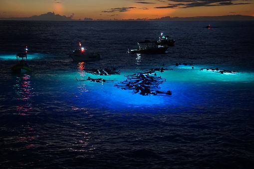 Snorkelers watch for Manta Rays in the Pacific Ocean off the Kona Coast in Hawaii. Boats shine lights in the water to illuminate plankton which attract the rays.