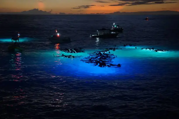 Snorkelers watch for Manta Rays in the Pacific Ocean off the Kona Coast in Hawaii. Boats shine lights in the water to illuminate plankton which attract the rays.