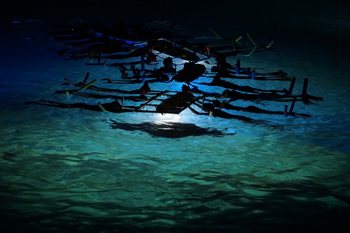 Snorkelers watch as a giant manta ray swims underneath them during a nighttime tour in Keauhou Bay along Hawaii's Kona Coast.