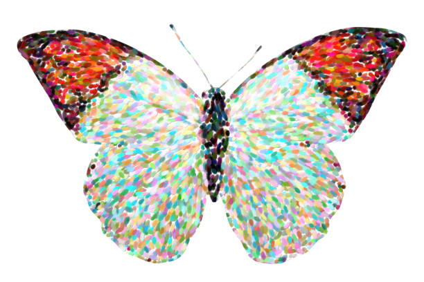 istock tropical butterfly with white and orange wings. isolated on white background 1177131216