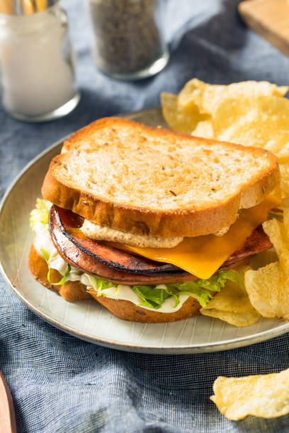 istock Homemade Fried Bologna Sandwich 1177132690