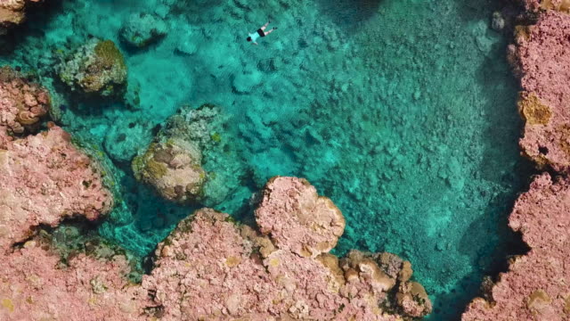 Tropical coral Island