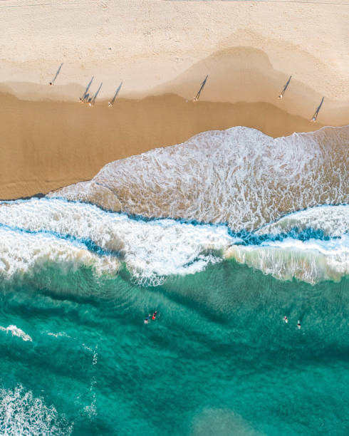 aerial of people walking on a beach at sunrise with  beautiful sand beach and gentle waves - pacific ocean fotos imagens e fotografias de stock