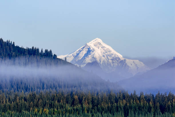 istock Mount Crillon photographed from Glacier Bay National Park 1177134512
