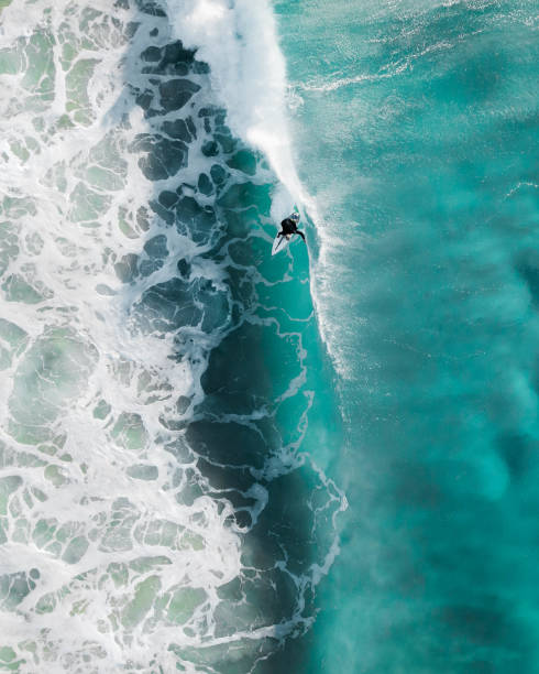 Aerial sport action shot of a surfer at sunrise riding a wave in a blue ocean in Sydney, Australia Bondi Beach Aerial sport action shot of a surfer at sunrise riding a wave in a blue ocean in Sydney, Australia Bondi Beach surfing stock pictures, royalty-free photos & images