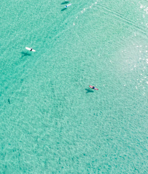 istock Surfer waiting for waves in beautiful water view from above. 1177134519