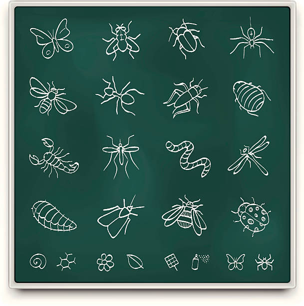 Chalkboard insect icons http://www.drawperfect.com/istock/file_notes.gif dragonfly drawing stock illustrations