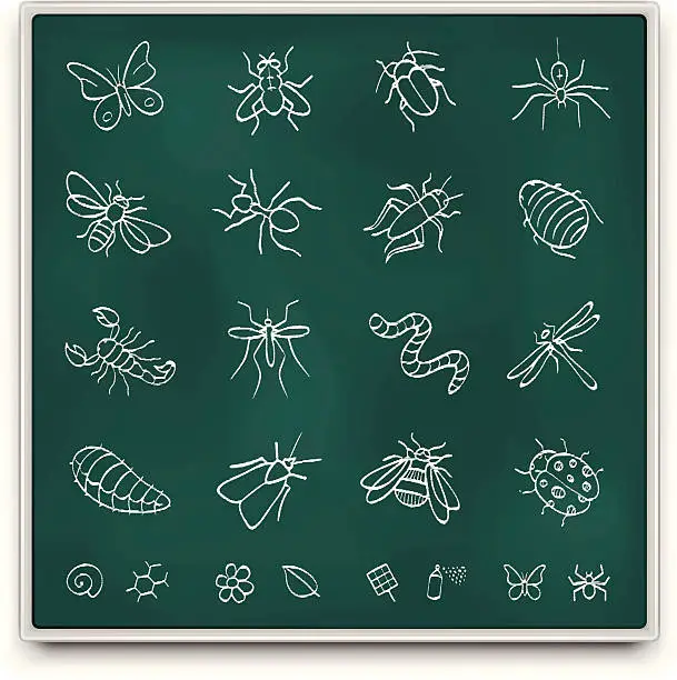 Vector illustration of Chalkboard insect icons