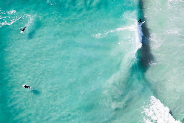 surfisti a cavallo onde aeree. spettacolare scatto di un surfista nell'oceano che prende un'onda all'alba sulla gold coast. - human face foto e immagini stock