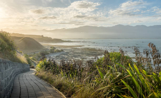 New Zealand coast stock photo